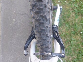 Bicykel Dema pegas 3.0 - 3