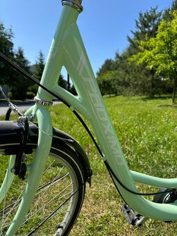 Dámsky bicykel PROXIMO ST50 - 3