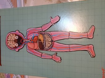 Predám ľudské telo magnety - 3