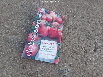 Predám priesady - rajčiny. - 3