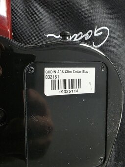 GODIN Multiac ACS slim +0Roland GR 55 - 3