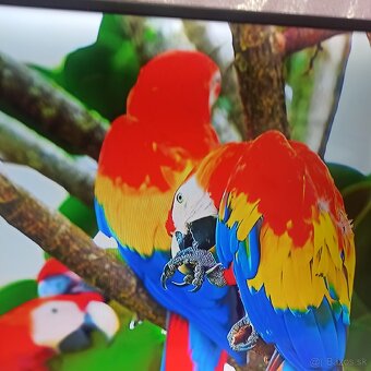 Samsung Led,LCD smart tv 4k 49(123cm) - 3