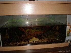 Predám lepené akvárium s príslušenstvom cca 120 litrov - 3