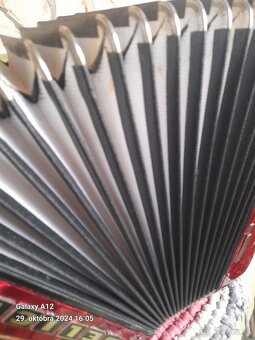 Heligonka hohner liliput - 3