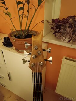 5-strunova basgitara - 3