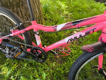 Bicykel Amulet Tomcat 20" - 3