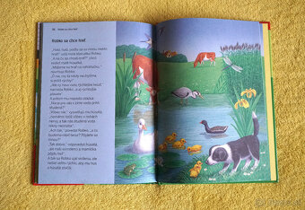 Kniha PREČO má ježko pichliače? - 3