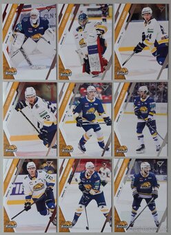 Hokejové kartičky SLOVENSKÁ HOKEJOVÁ LIGA 24/25 - HC HUMENNÉ - 3