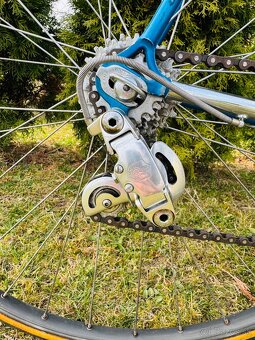 Pinarello “Veggerby” - 3