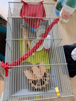 Klietka pre skreckov a prislusenstvo - 3