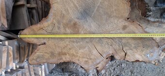 Dubové priečne rezy na stoly - 3