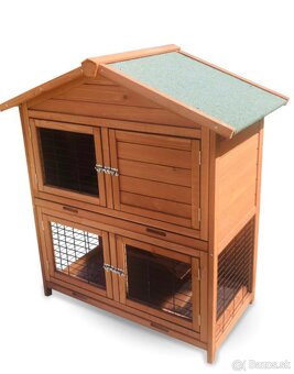 Zakrslý králik , zajac - 3