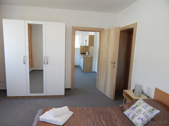 Trenčianske Teplice apartmány ubytovanie aj pre samoplatcov - 3
