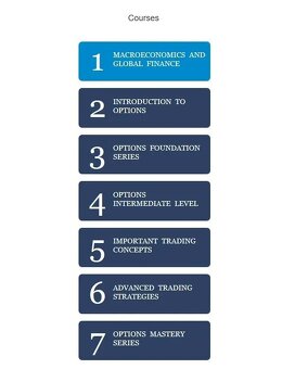 DVD - Obchodovanie s opciami OPTION TIGER - 3