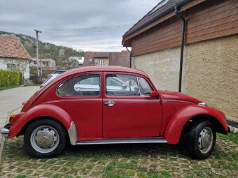 Volkswagen Chrobak Käfer ,1300, rok výroby 1969 - 3