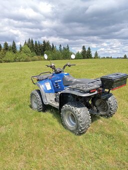 Polaris Magnum 325 - 3