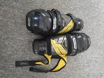 holene bauer ultrasonic 9 - 3