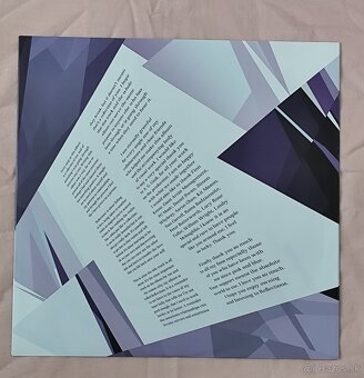 Hannah Diamond - Reflections (LP, Vinyl, Platňa) - 3