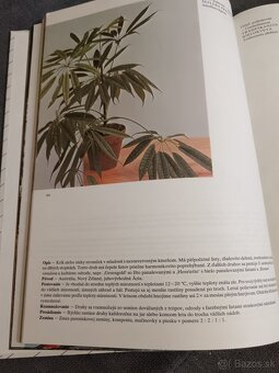 Predám knihu Kvety moja záľuba - 3