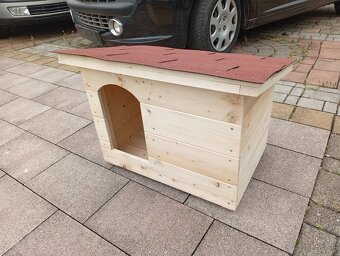 Búda pre psa - 3