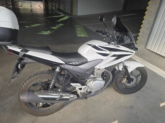 Honda CBF 125m - 3