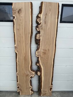 Očkový brest-na stôl - 3