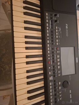Predam Korg 600 - 3