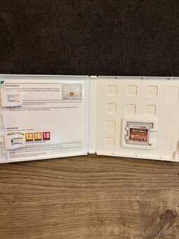 Predam 12 hier na Nintendo DS/3DS - 3