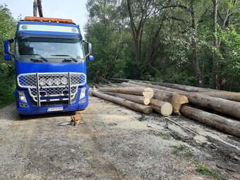 Volvo lesovoz auto do lesa - 3