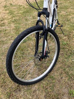 Olpran Bomber 26” - 3