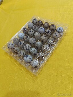 Prepeličie vajcia - 3