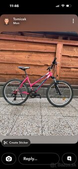 Predam horsky damsky bicikel - 3