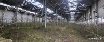 Pozemok na predaj – 8 216 m² – s čiastočne postaveným skelet - 3