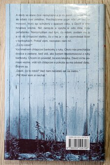 Ako byť dobrý - Nick Hornby - 3