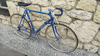 Favorit 1954 - 3