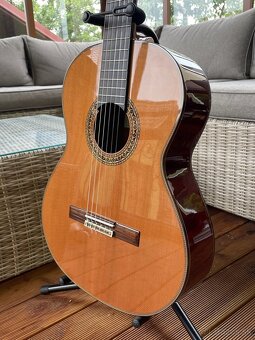 Klasická gitara- Almansa 457 M Traditional 4/4 - 3