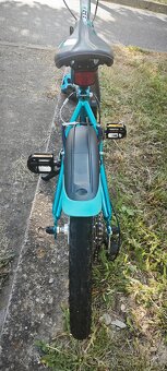 CTM detský 20" - 3