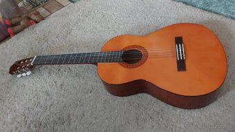 Predam gitaru - 3