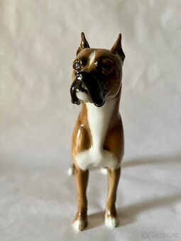 Porcelanove psy Hutschenreuther boxer - 3