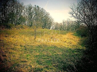 Súbor rekreačných pozemkov 1 ha v krásnej prírode , obec... - 3