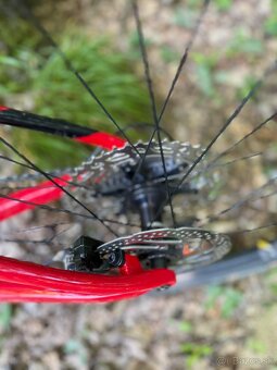 Karbónovy bike - Rock Machine Blizz CRB 30-29 2024 - 3