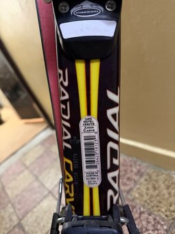 Lyže 150 lyziarky 38 - 3