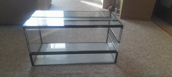 Terarium - 3