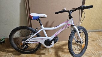 Bycikel pre dievca - 3