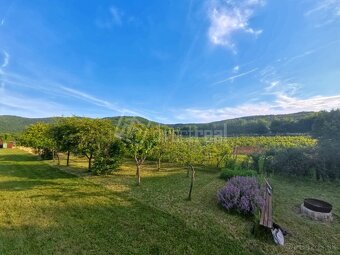 Jedinečná chata s prekrásnym pozemkom pri lese vo vino… - 3