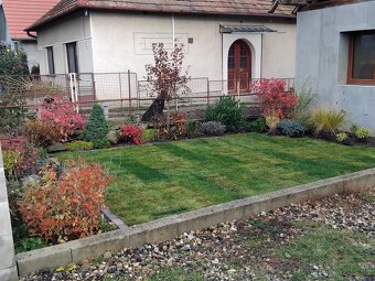 Realizácie záhrad,rez ovocných stromov a drevín - 3