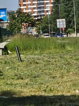 Kosenie jednorazovo pravidelne aj víkendy a sviatky - 3