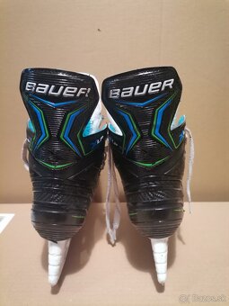 Bauer - 3