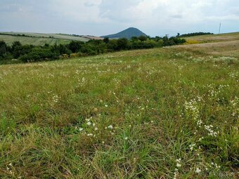 Pozemok na predaj Veľký Šariš - 3