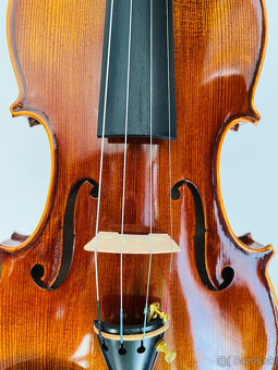 Predám husle, 4/4 husle: "Violin Vivaldi 17”,model Stradiva - 3